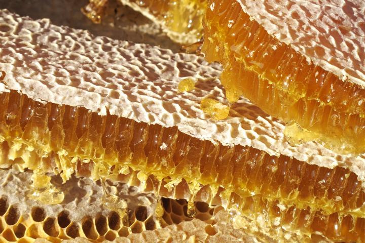 Ökologische Bienenpflege