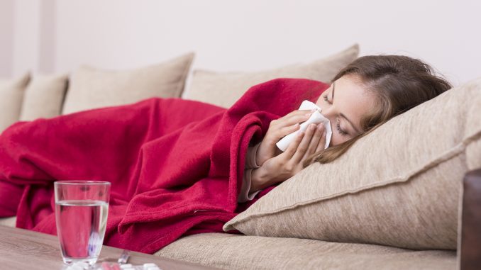 Vitalpilze - Helfer gegen Erkältung