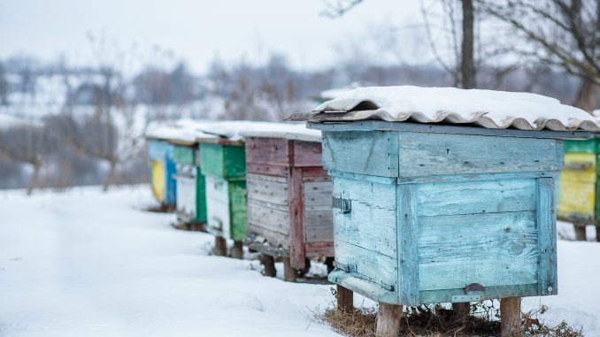 Schnee auf einem Bienenstock